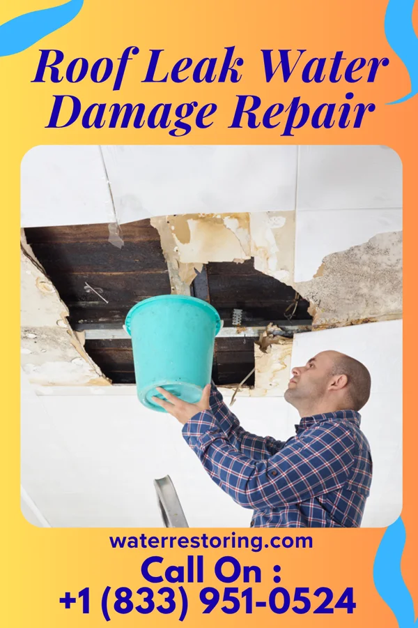 Roof Leak Water Damage Repair in Harrisville, UT